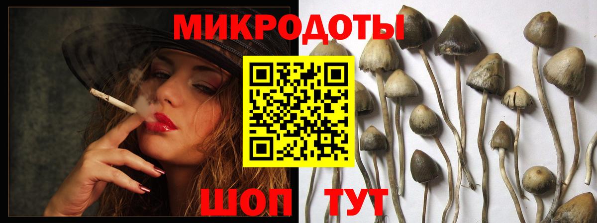 Псилоцибиновые грибы MAGIC MUSHROOMS  Галлюциногенные грибы Psilocybine cubensis  Вход с VPN  Дмитров 